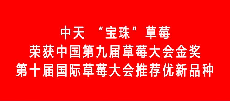 草莓1920網50像素2025年3月12日網頁_01.jpg
