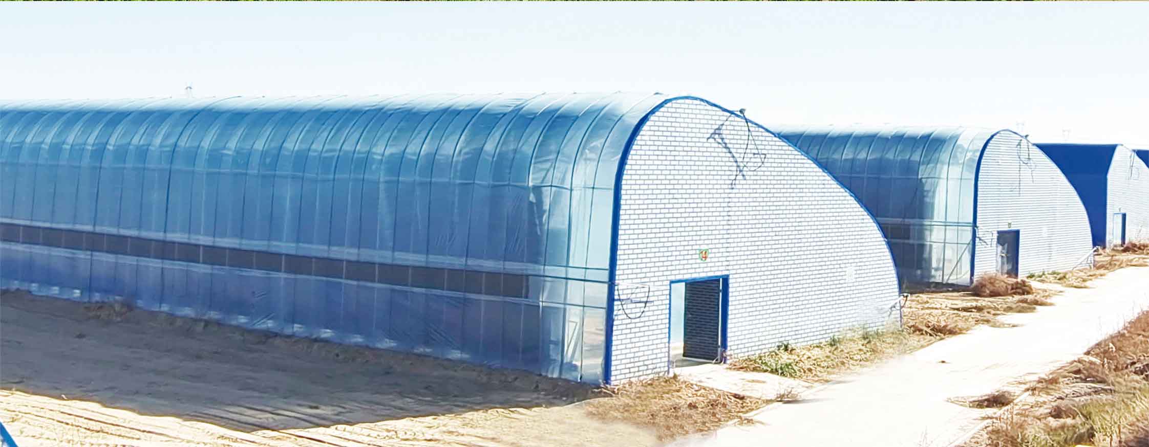 2、冬室夏棚網頁_10.jpg