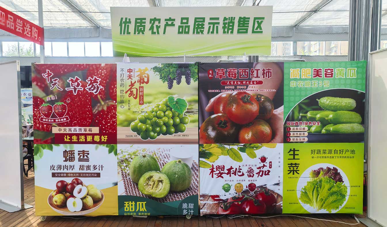 自治區(qū)綠色優(yōu)質(zhì)果蔬展銷中心psd-恢復的_15.jpg 自治區(qū)綠色優(yōu)質(zhì)果蔬展銷中心psd-恢復的_15.jpg