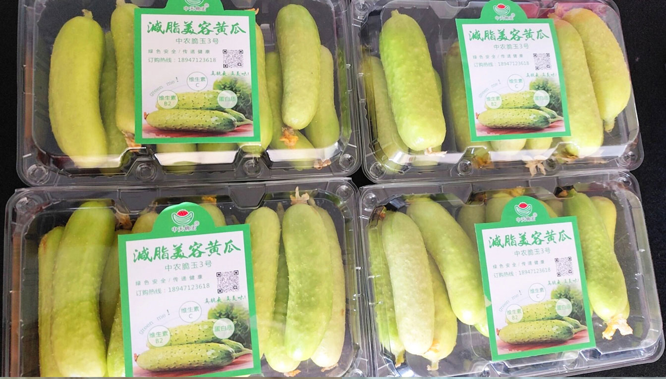 自治區(qū)綠色優(yōu)質(zhì)果蔬展銷中心psd-恢復的_18.jpg 自治區(qū)綠色優(yōu)質(zhì)果蔬展銷中心psd-恢復的_18.jpg
